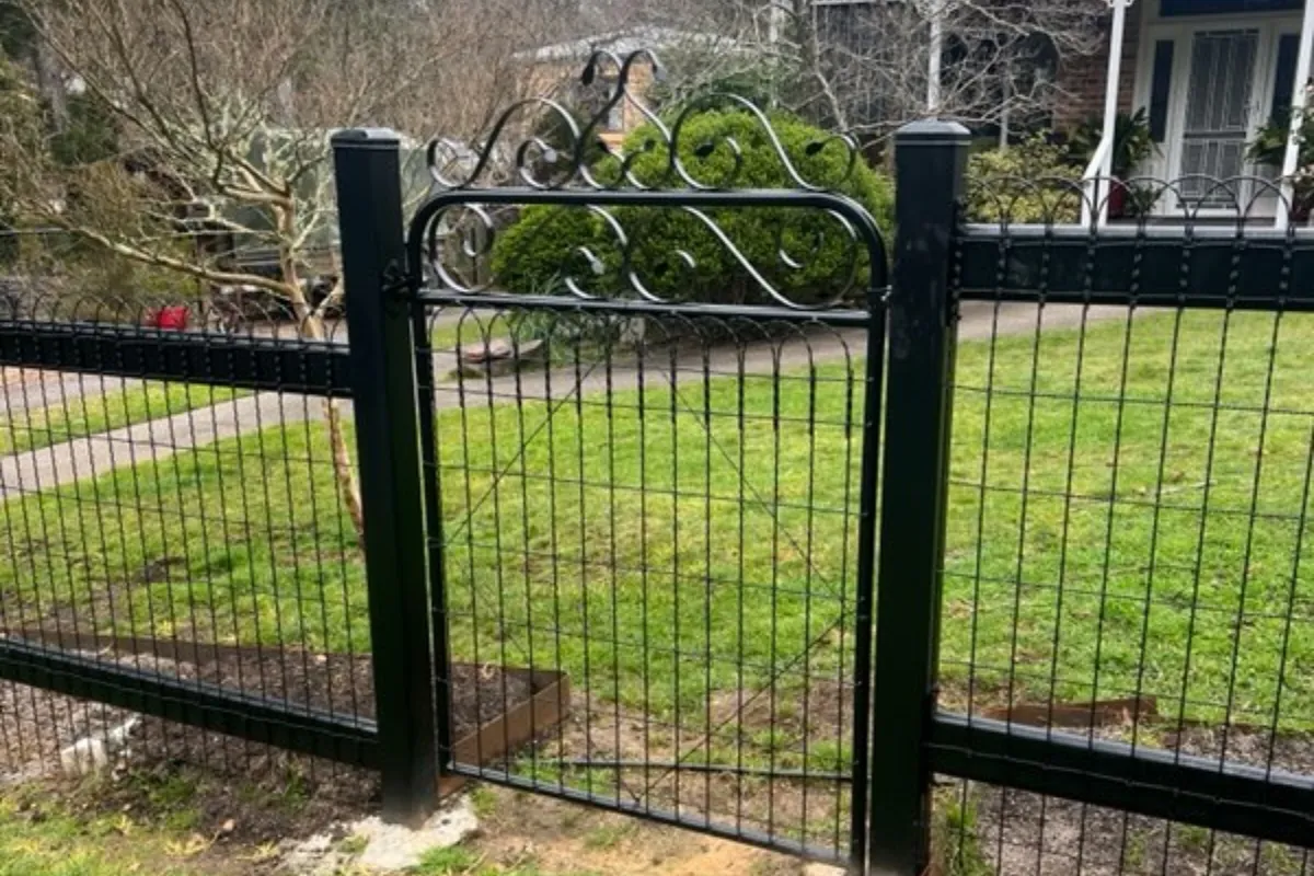 Black heritage emu wire fence with ornate scroll gate