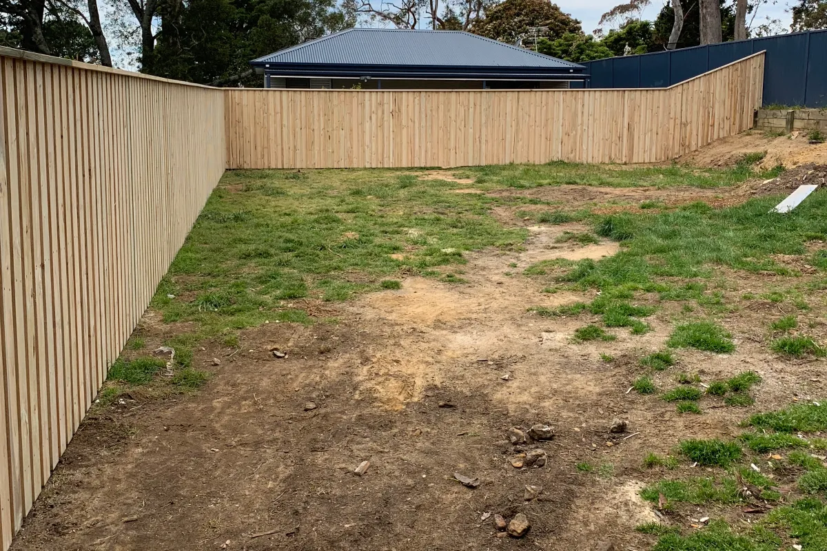 Treated pine timber paling boundary fence